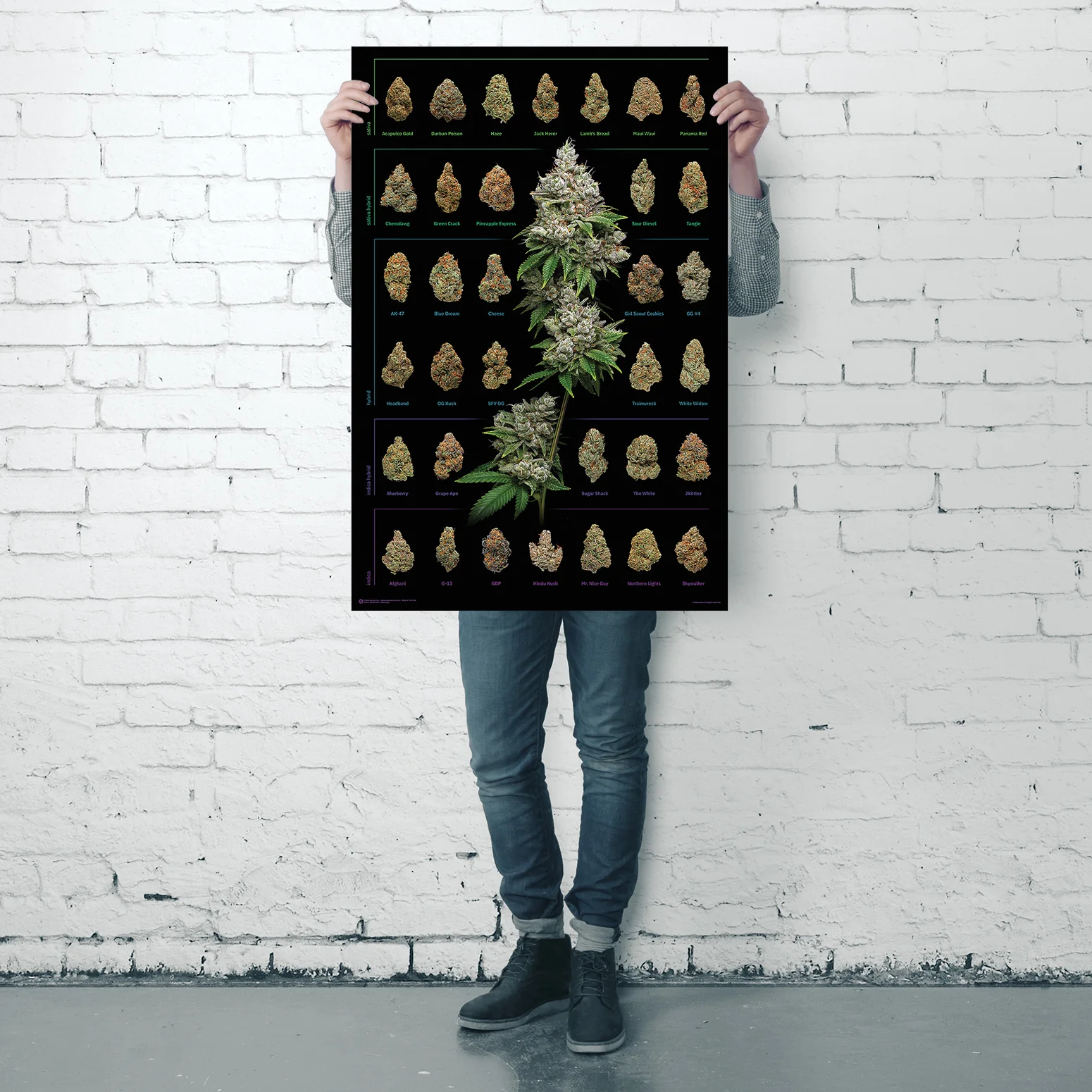 Produktbild 4